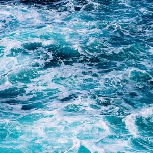 Meet your Posher, Avery